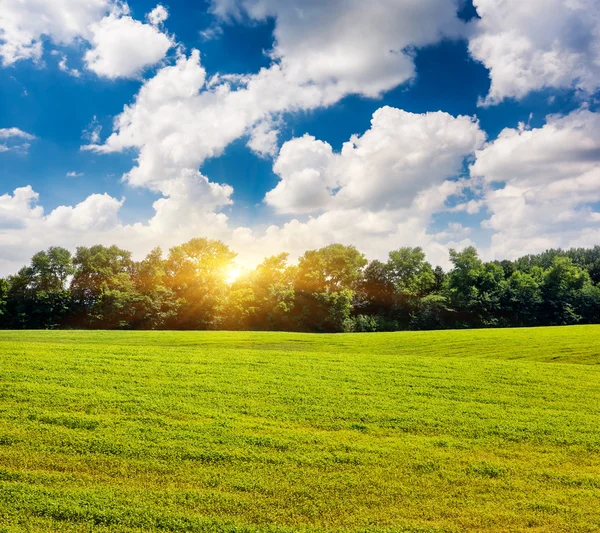 Weergave van rurale landschap — Stockfoto