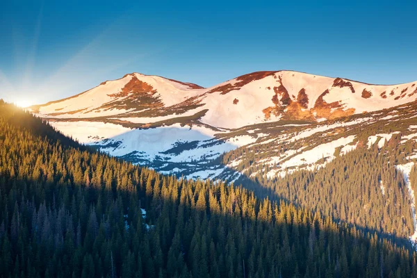 Sunny day in mountains — Stock Photo, Image