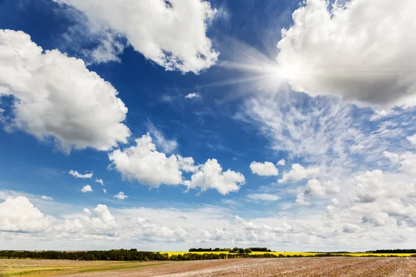 Campo e céu azul — Fotografia de Stock