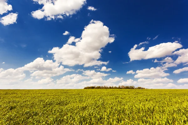 Sunny day with blue sky — Stock Photo, Image