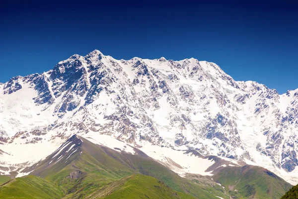 Alpina ängar i Georgien — Stockfoto