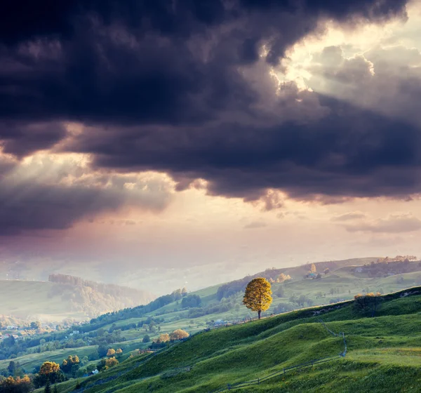 Morning mountain landscape — Stock Photo, Image