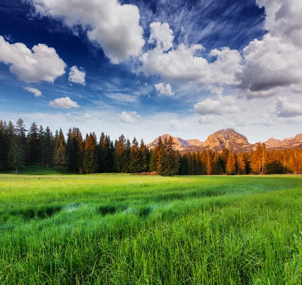 Parque nacional Durmitor en Montenegro — Foto de Stock