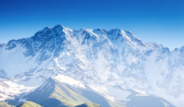 Alpenweiden van Georgië — Stockfoto