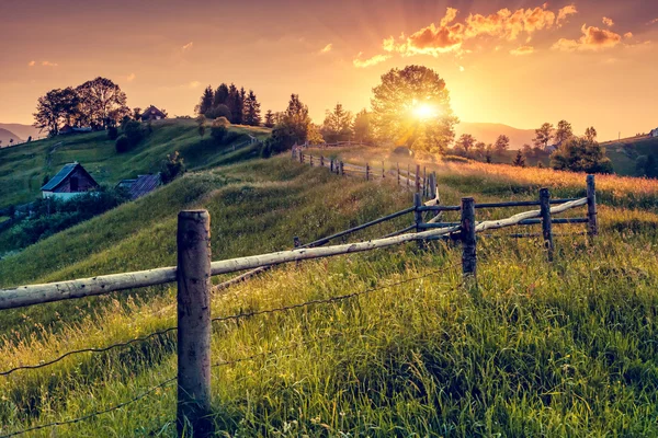 Manhã paisagem rural — Fotografia de Stock