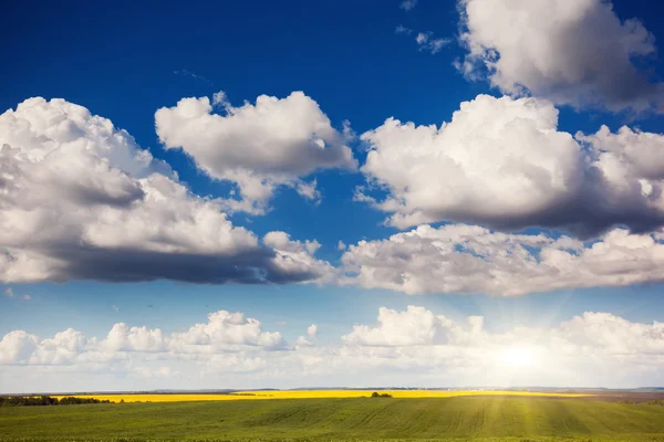 Campo com brancas nuvens macias — Fotografia de Stock