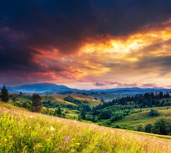 Vackra gröna kullar i skymningen — Stockfoto