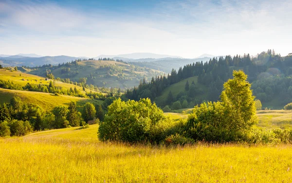 Sunny hills under sky with clouds — Stock Photo, Image