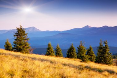 kırsal Alpin peyzaj