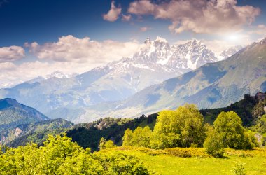 alpine meadows güzel görünümü
