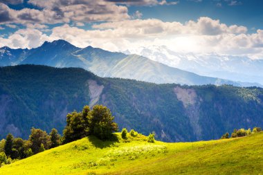 alpine meadows görünümünü