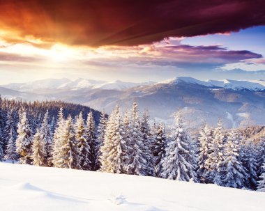 Harika sabah dağ manzarası