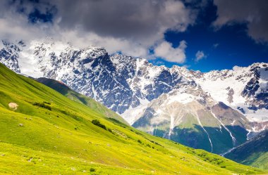 mt. olan ayak, Alpine meadows