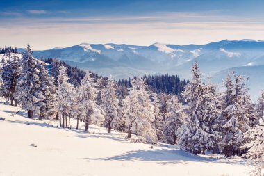 Karpat kış manzarası