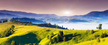 Harika sabah Karpat Dağları