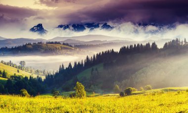alpine meadows görünümü