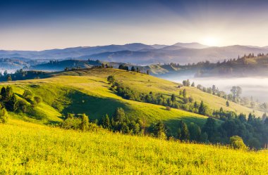 Güneşli bir günde Karpat Dağları