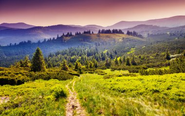 Harika sabah Karpat Dağları