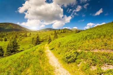 Dağlarda güneşli bir gün