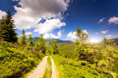 Dağlarda güneşli bir gün