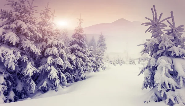 Sera paesaggio invernale — Foto Stock
