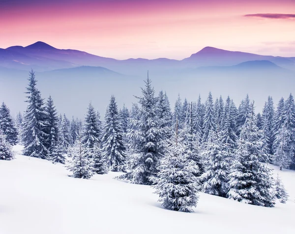 Abend Winter landscap — Stockfoto