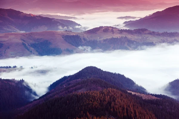 Fantastische Morgen Berglandschaft — Stockfoto