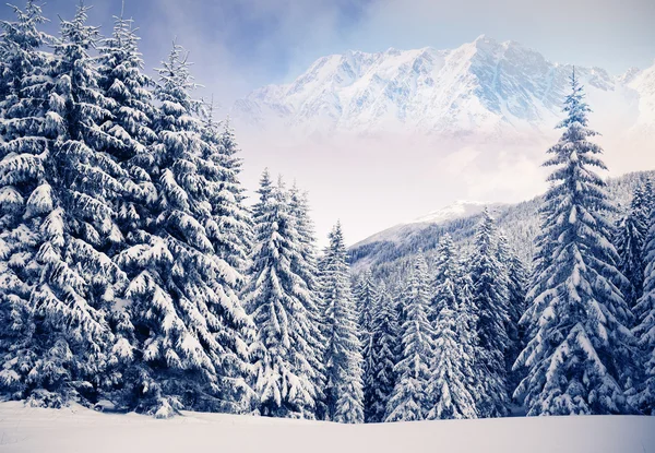 冬季景观和蓝色的天空 — 图库照片