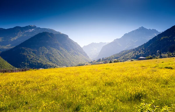Альпийские луга в деревне Жабеши — стоковое фото