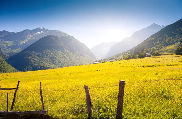 Alpine meadows in village Zhabeshi — Stock Photo, Image