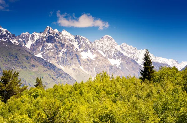 Hermosa vista de los prados alpinos — Foto de Stock