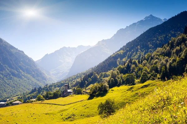 Alpenweiden in dorp zhabeshi — Stockfoto