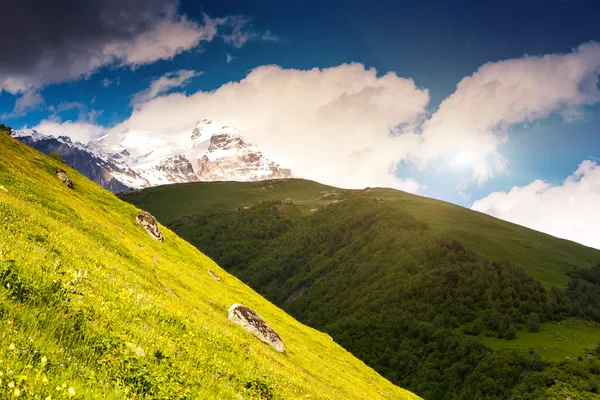 Hermosa vista de los prados alpinos —  Fotos de Stock