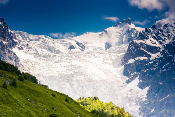 Vacker utsikt över alpina ängar — Stockfoto