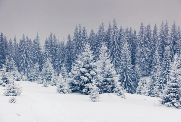 Fantástico paisaje de invierno. — Foto de Stock