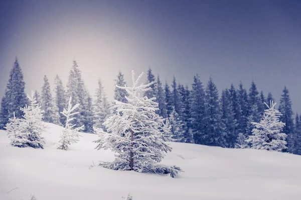 Fantastico paesaggio invernale. — Foto Stock