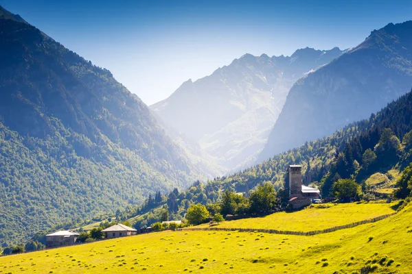 Vista de las praderas alpinas —  Fotos de Stock