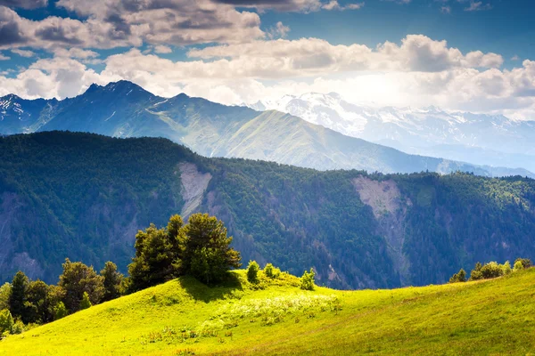 Syn på alpina ängar — Stockfoto