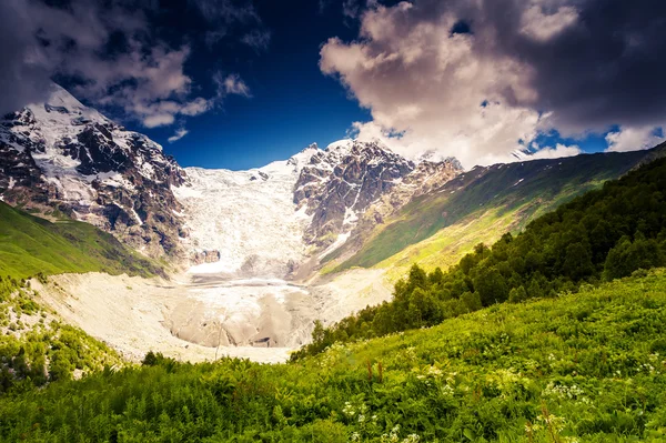 Alpine meadows of Tetnuldi glacier — Stock Photo, Image