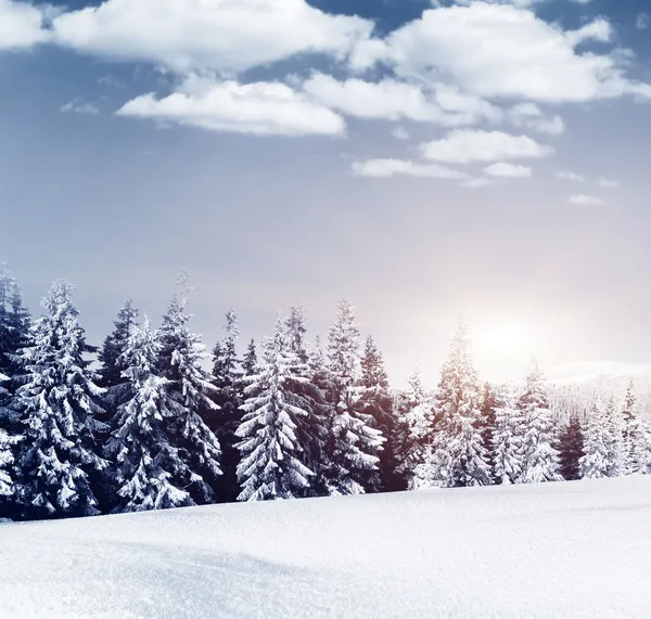 Fantastyczny zimowy krajobraz — Zdjęcie stockowe