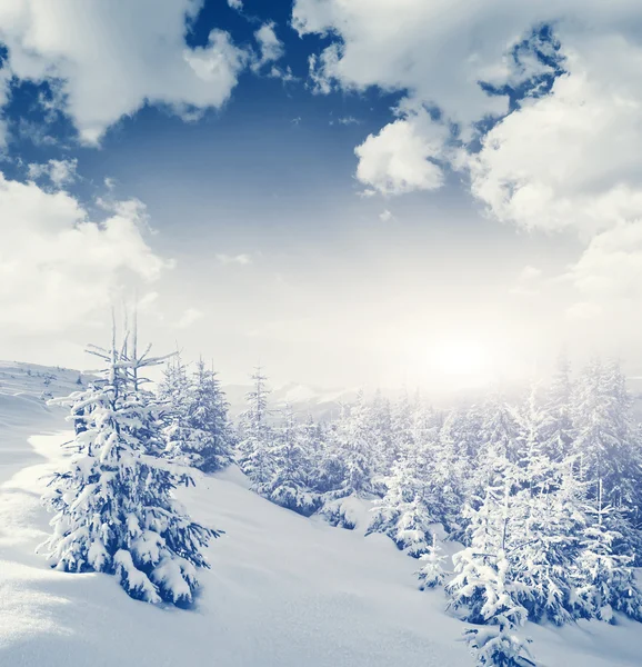 Fantastico paesaggio invernale — Foto Stock