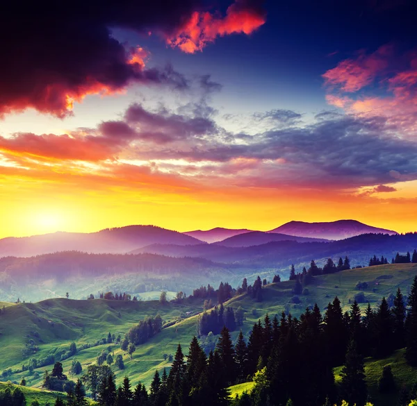 Carpathian landscape — Stock Photo, Image