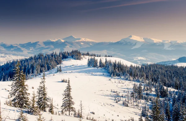 Paesaggio invernale carpatico — Foto Stock