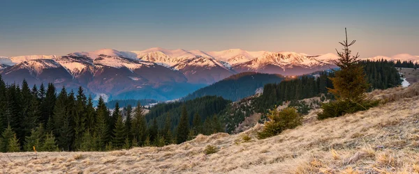 Güneşli bir günde Karpat Dağları — Stok fotoğraf