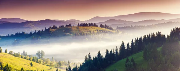 Fantastische ochtend berglandschap — Stockfoto