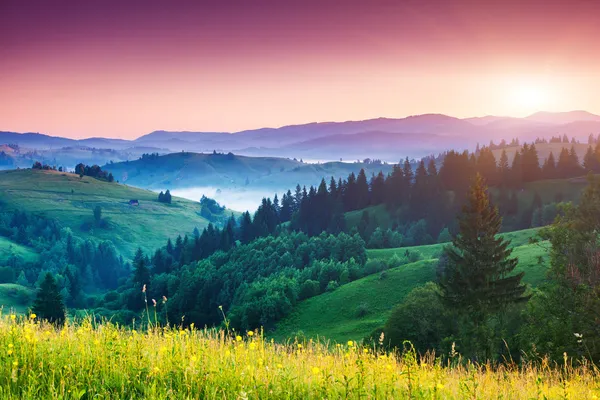 Fantástica manhã paisagem de montanha — Fotografia de Stock