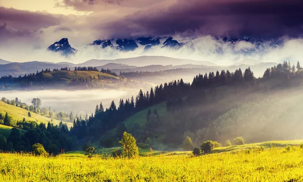 alpine meadows görünümü