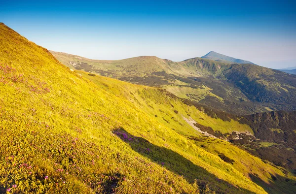 Widok wiejski krajobraz alpejski — Zdjęcie stockowe