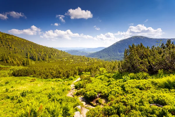 Día soleado en las montañas Cárpatos — Foto de Stock