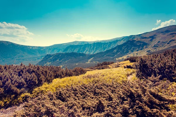 Вид сельских альпийский пейзаж — стоковое фото
